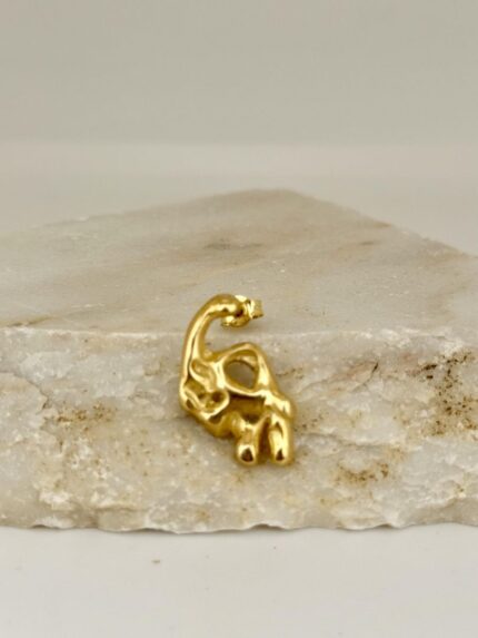 Αcceptance Earring