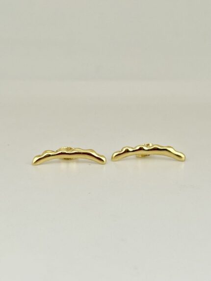 Wave Earring