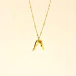 Feather Necklace 1