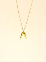 Feather Necklace 1